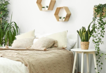 3 Nơi Trong Nhà Không Thích Hợp Để Trồng Hoa, Càng Trồng Càng Héo