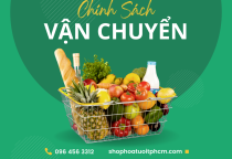 Chính Sách Vận Chuyển