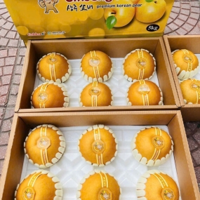 Lê Hàn Quốc Chất Lượng Nhất