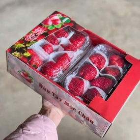 Hộp Dâu Mộc Châu 2 Hộp 1kg